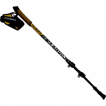 Палки для скандинавской ходьбы TALBERG SCANDICA, чёрный